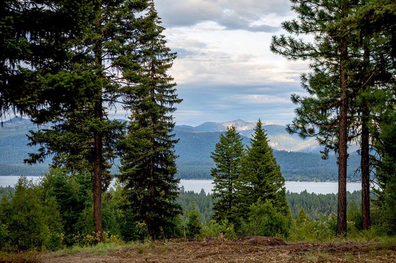 McCall Idaho Properties and Custom Homes for sale Whitetail Club