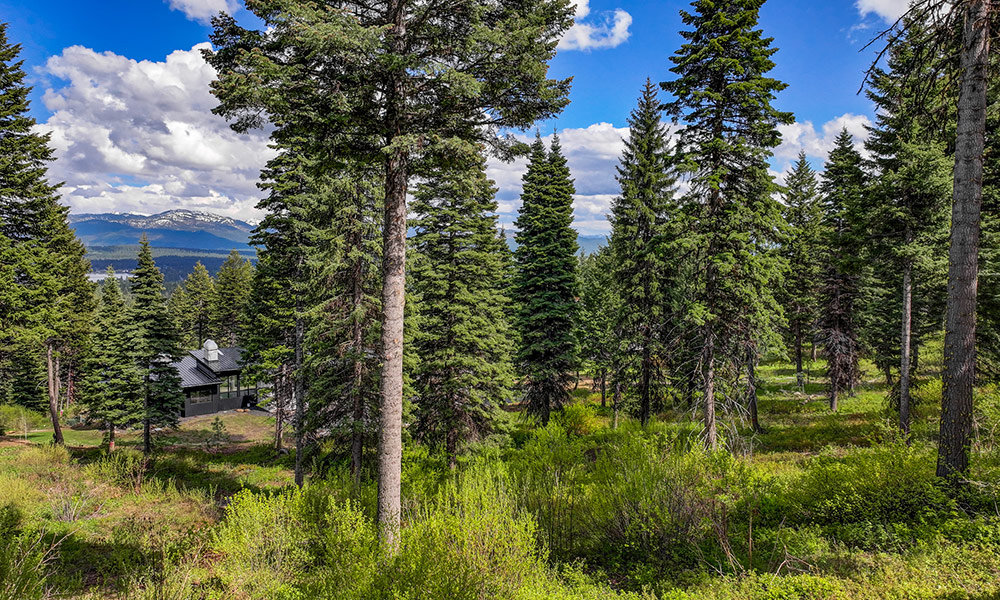 669 Migratory Ridge McCall Idaho