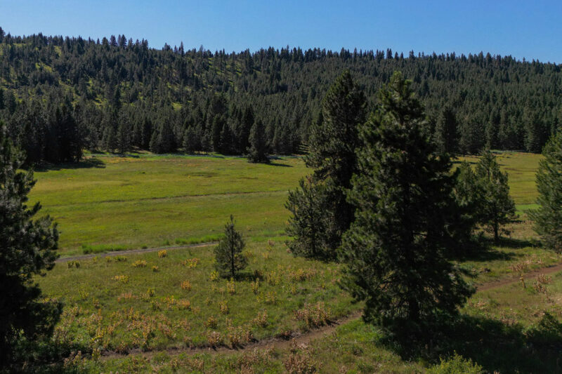 McCall Real Estate at Whitetail Club showcase by recent sales