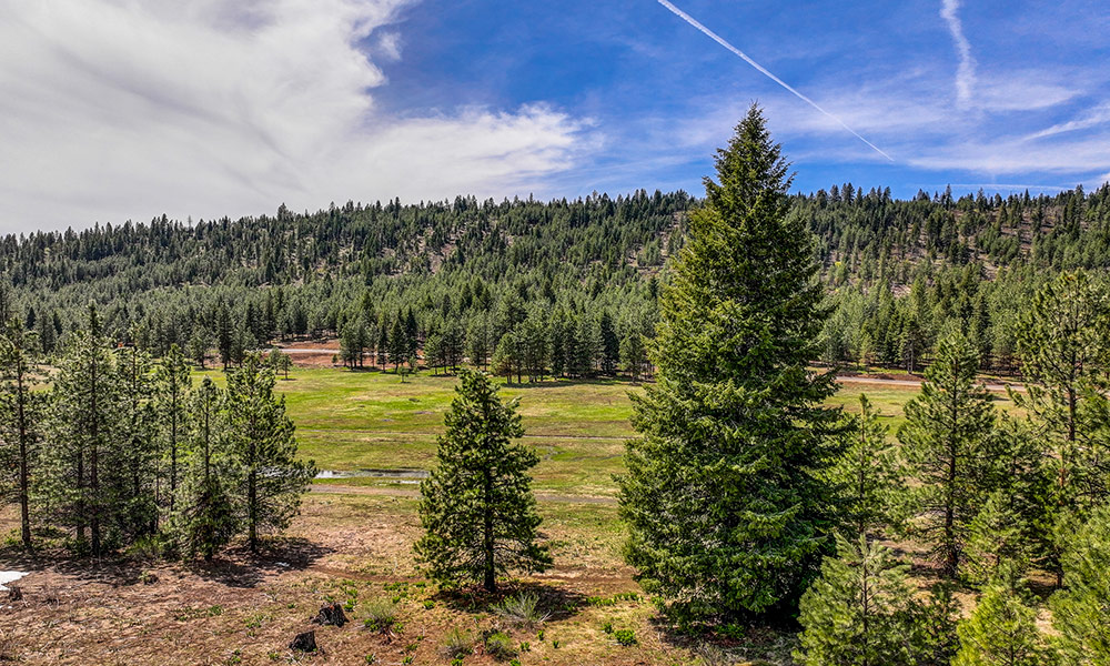 5613 Lupine Lane McCall Idaho