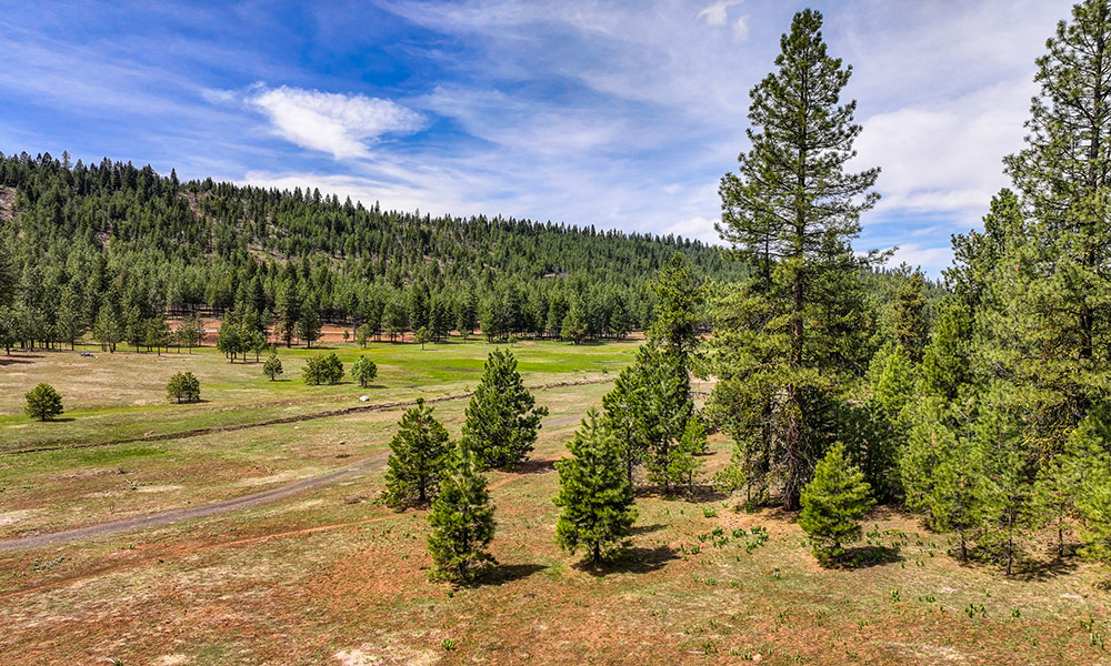 5601 Lupine Lane McCall, Idaho