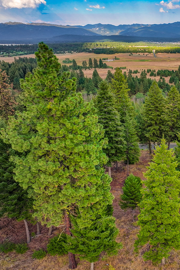 Homesite 94 Whitetail Club