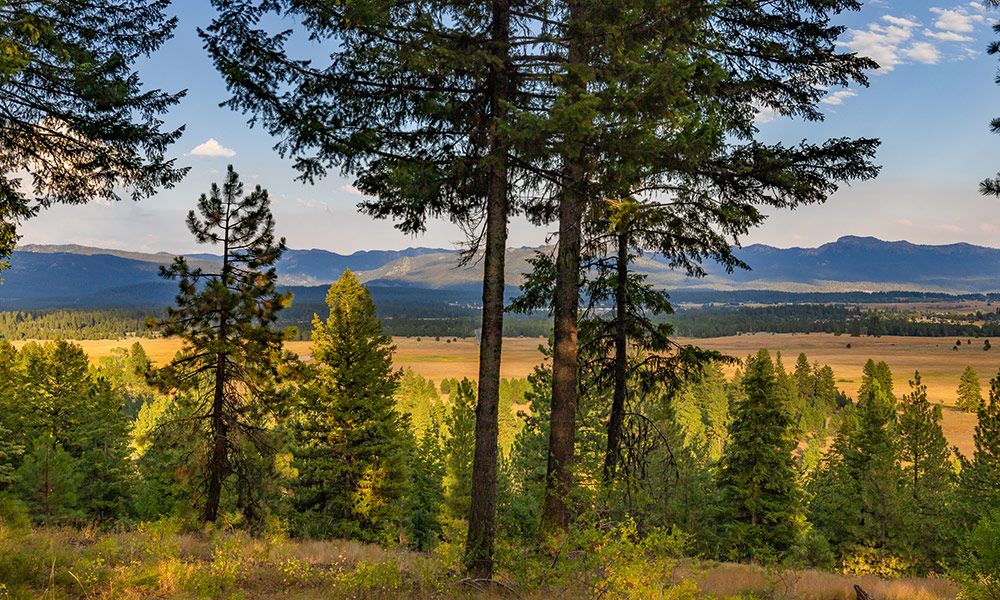 5609 Appaloosa Trail McCall