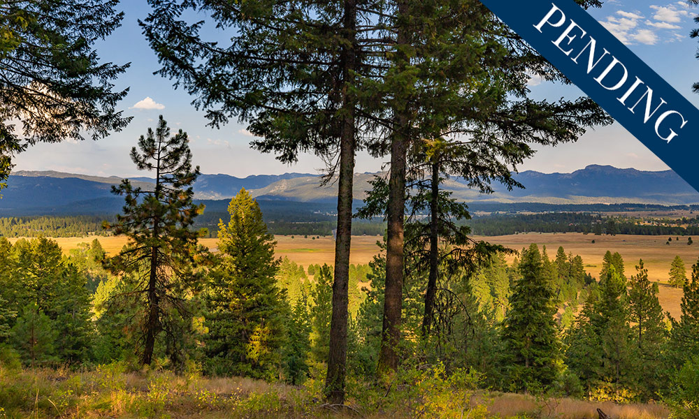 Homesite 94 Sale Pending