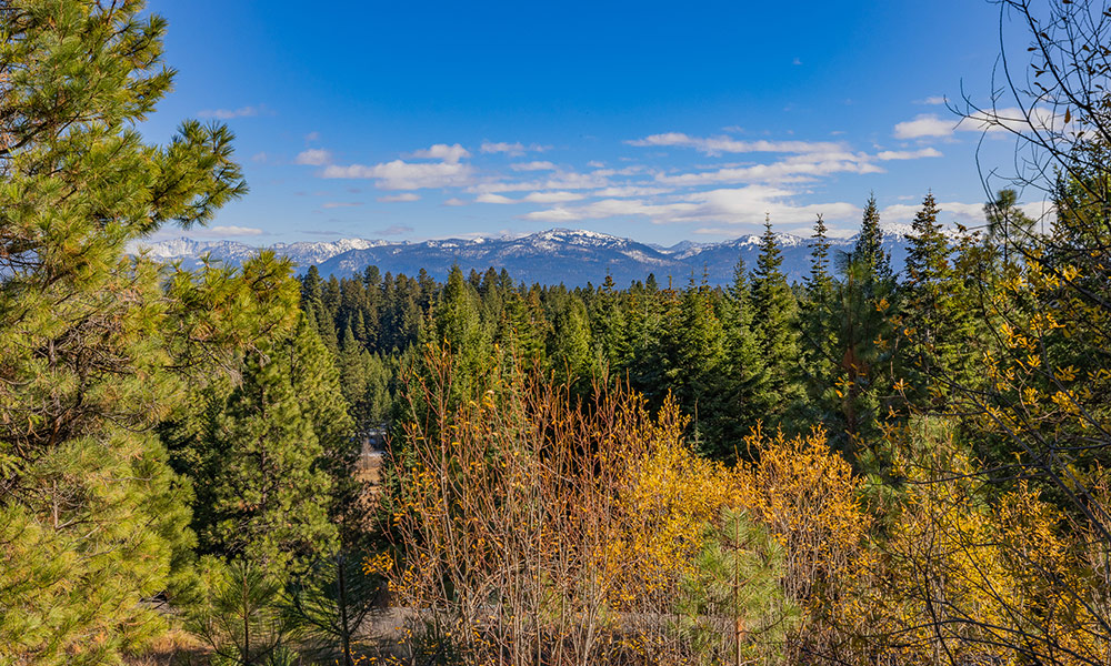 Homesite 28 McCall, Idaho
