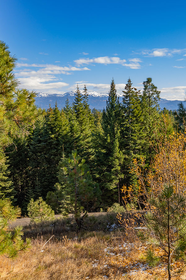 Homesite 28 Whitetail Club Homesite 28 Whitetail Club