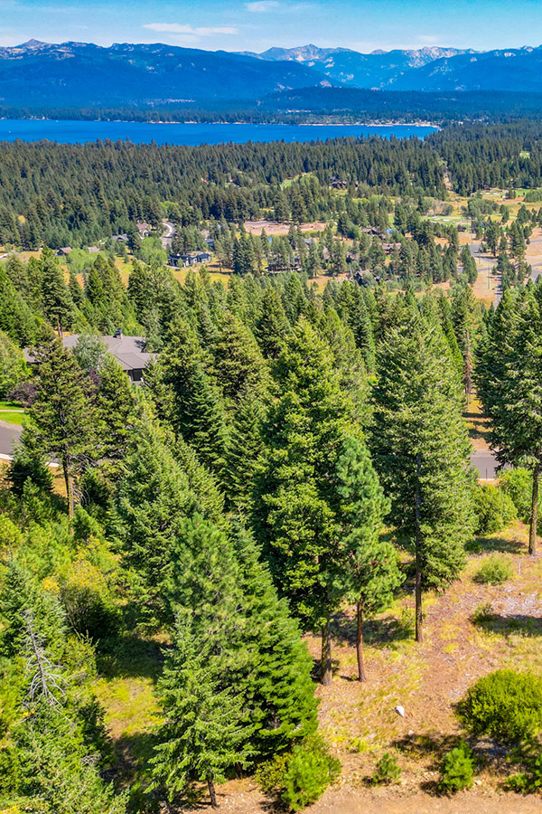Homesite-80-Aerial