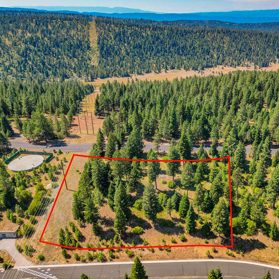 Homesite 80 Lot View